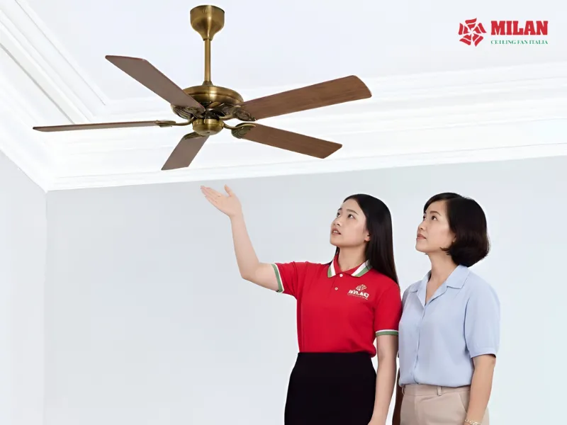 Địa chỉ mua quạt trần uy tín tại Quảng Ninh.